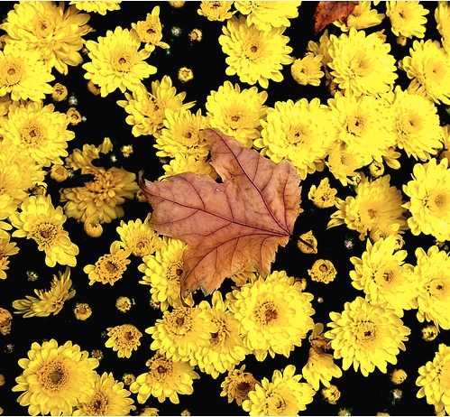 Твоё венчание