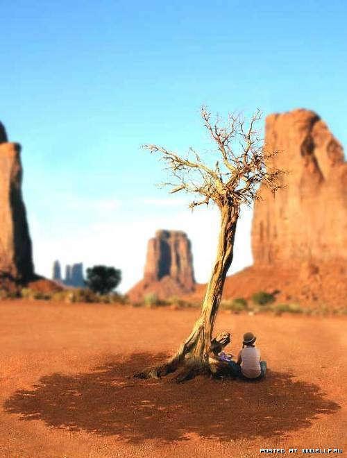 Место под Солнцем