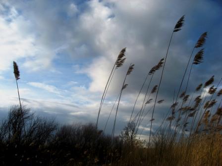 Знай, мимолётны наши увлеченья...