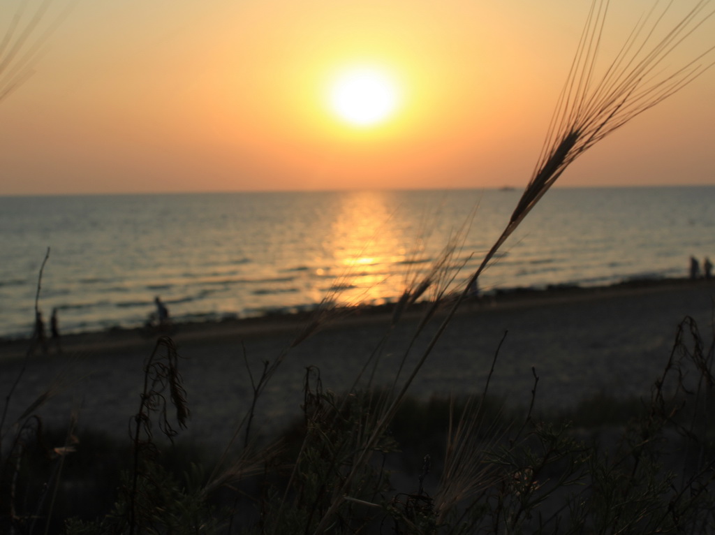 Посиди со мной, на краешке заката