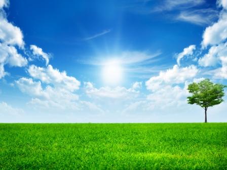 Что из того, что я пишу стихи?