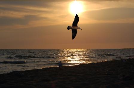 Посмотри в глаза чуть попристальней...