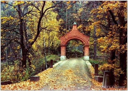 Иду за голосом твоим