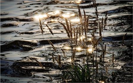 Мы одиноки все, как странники в пустыне...