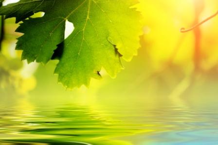 Не считай мою любовь ошибкою...