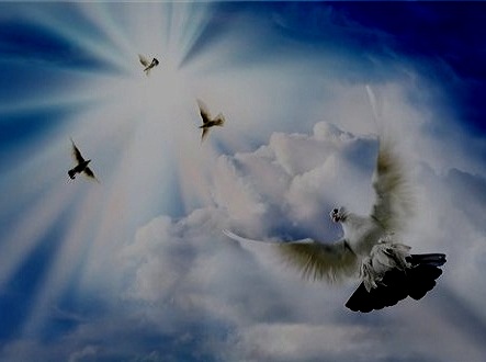 Буду просить я небо...