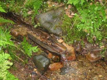 Три криницi