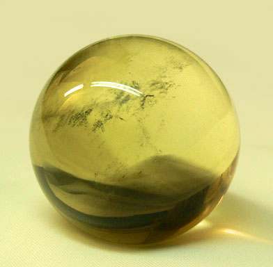 был желтый взгляд из березовой рощи