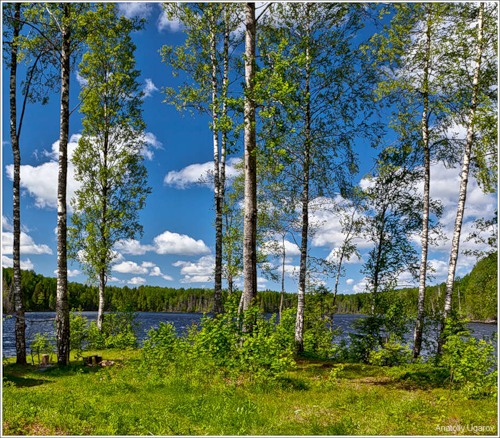 Синеглазая земля моя