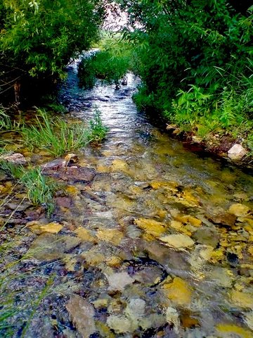 И об одном сейчас молю