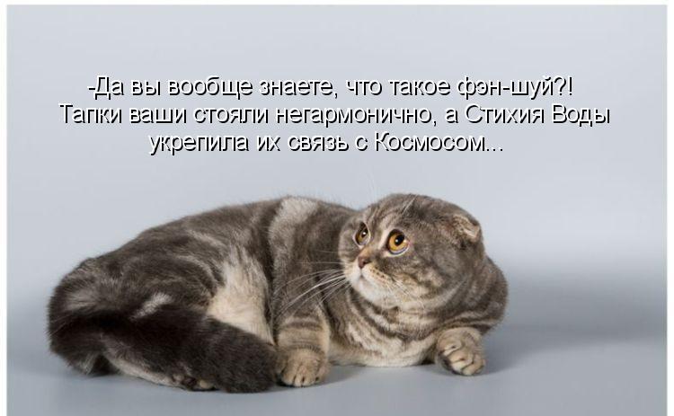 Нарифмованная чепуха про быть иль не быть