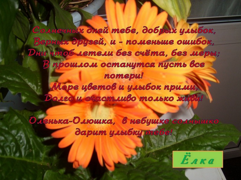 Оле Головенкиной