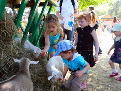 Поход в зоопарк