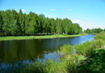 Липы