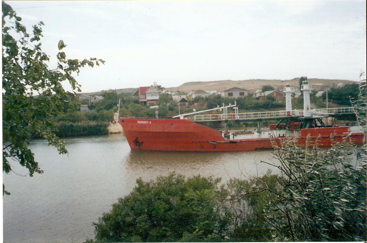 Сюрприз! юмор горьковатый, фото автора