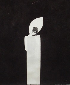 Цветные сны