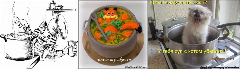 Скачать кошки и суп