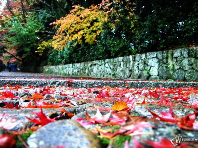 моя долгожданная осень