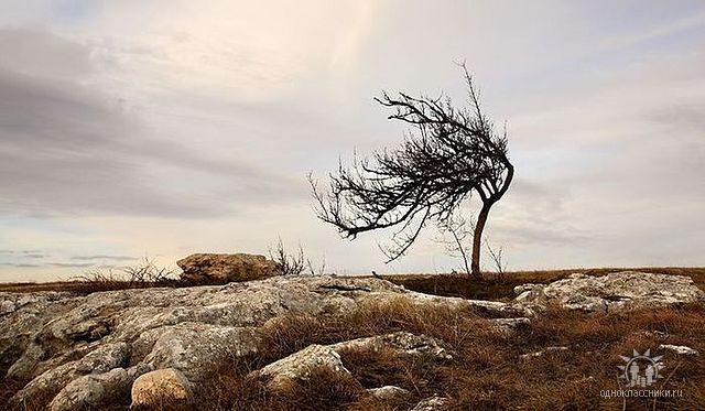 Увяли осенние краски...