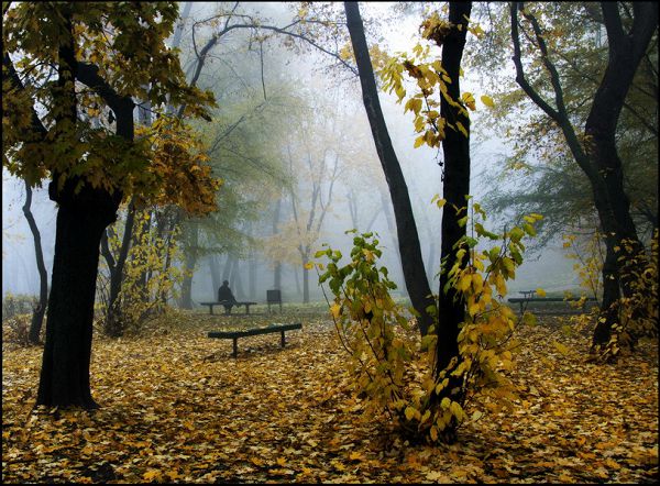 Нелепица