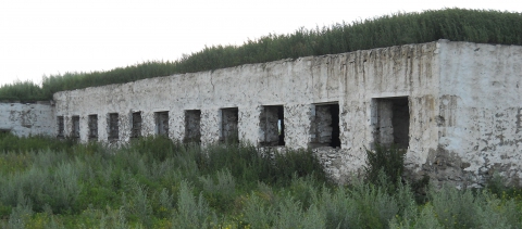 Деревня моя