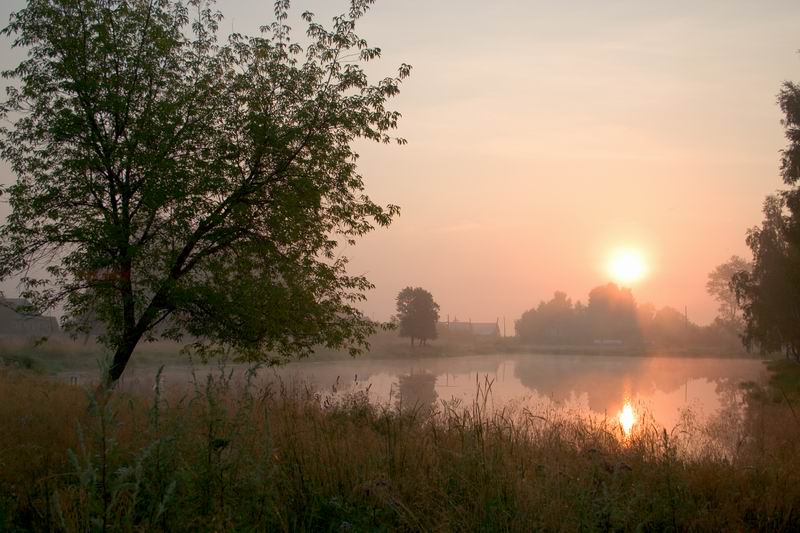 Утро в деревне