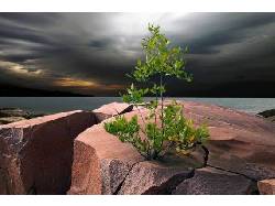 Тридевять земель. 07. 09. 2011