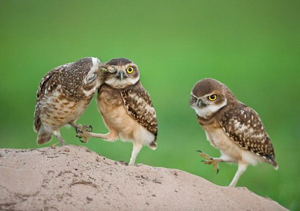 Не обижай меня