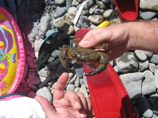 Рассказ без прикрас