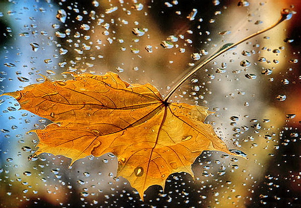 Простить нам тех, КТО забывает