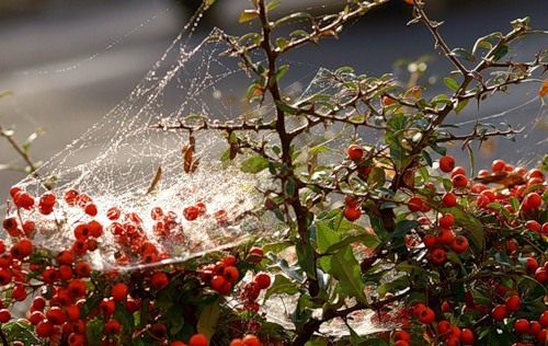 Скоро явится зазИмок...