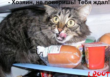 Юмор судьбы