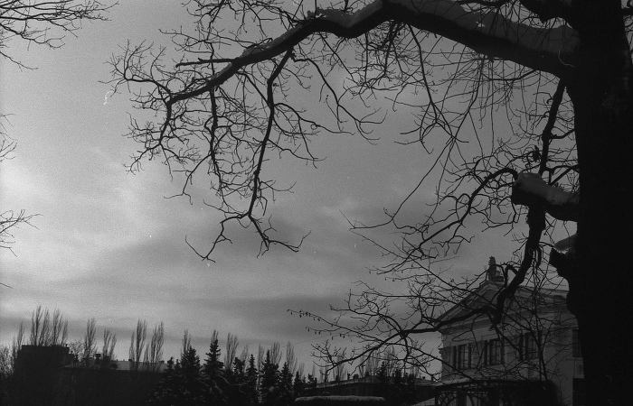 Вечерняя тишина