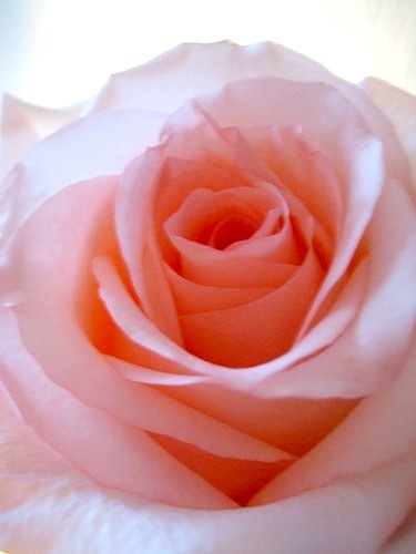 28. Запретная власть