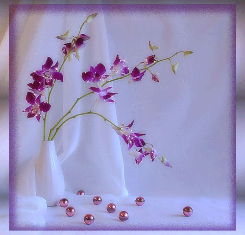 С Днем Рожденья! Поляковой Наталье