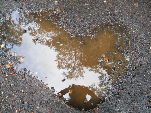 Я пытаюсь глазами поэта... 14. 09. 2011г