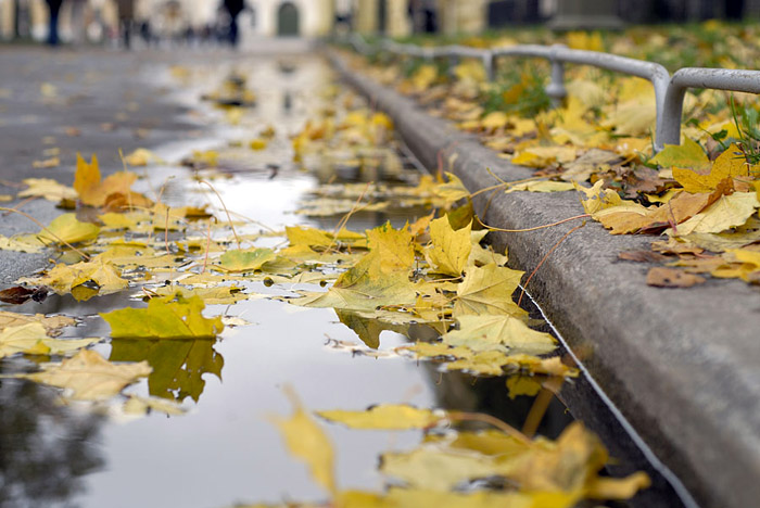 Два билета до лета