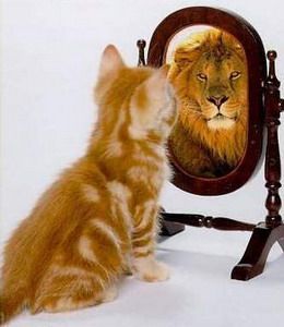 Правдивое зеркало