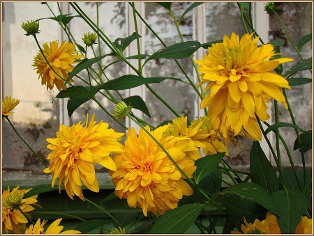 Вот и лето прошло...