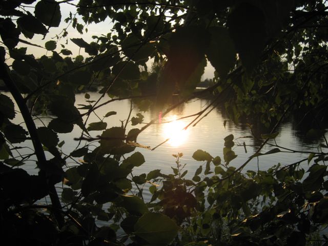 Возвращение домой