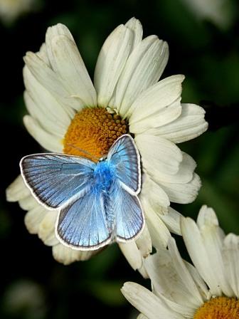 Есть причина