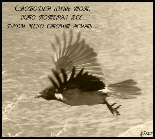 Свободен картинки со смыслом