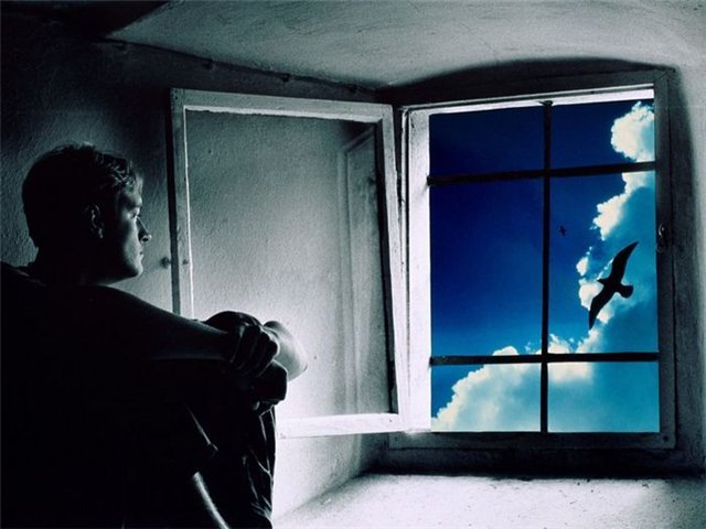 Во мне живут две половины...