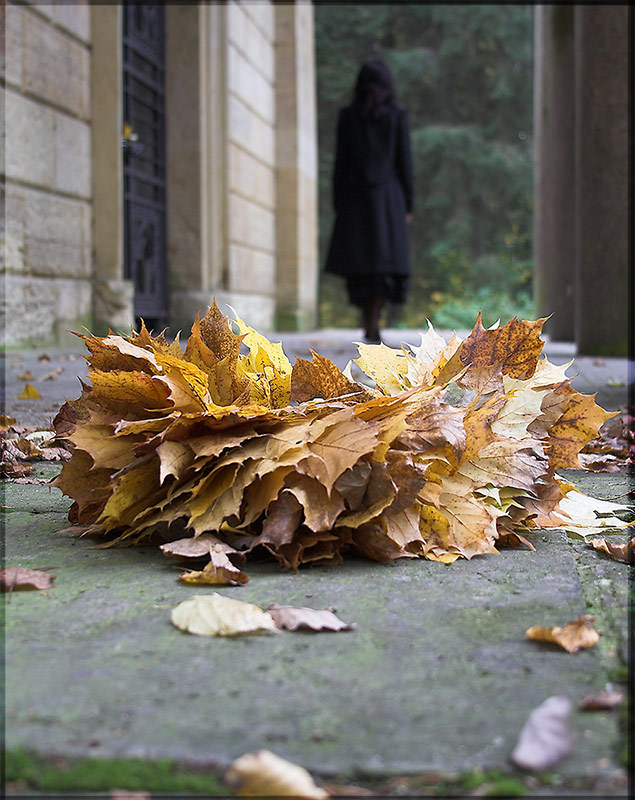 Опавшие листья терпеливо. Осенняя грусть. Печальная осень. Лист на ветру. Грустная осень.
