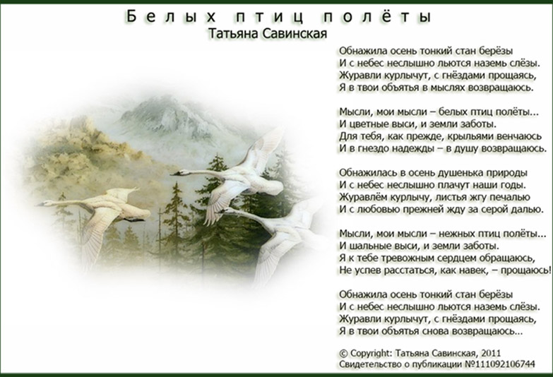 тексты песен с аккордами для гитары. текс песни птицы белые. белая птица аккорды. санкт-петербург гордая белая птица текст. стих про белую птицу.