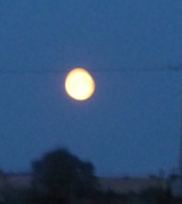 Рыжая, круглолица