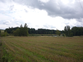 Тучи понеслись гурьбою