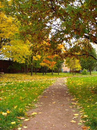 Лист осенний упал на плечо...