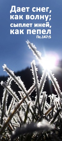 игра в снежки. растаявший снеговик. давай снежную. давай снежную. кто слепил снегура в рассказе снежный бы.