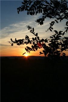 Злая осень, уходи! -Авторская песня-